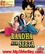 Radha Aur Seeta 1979
